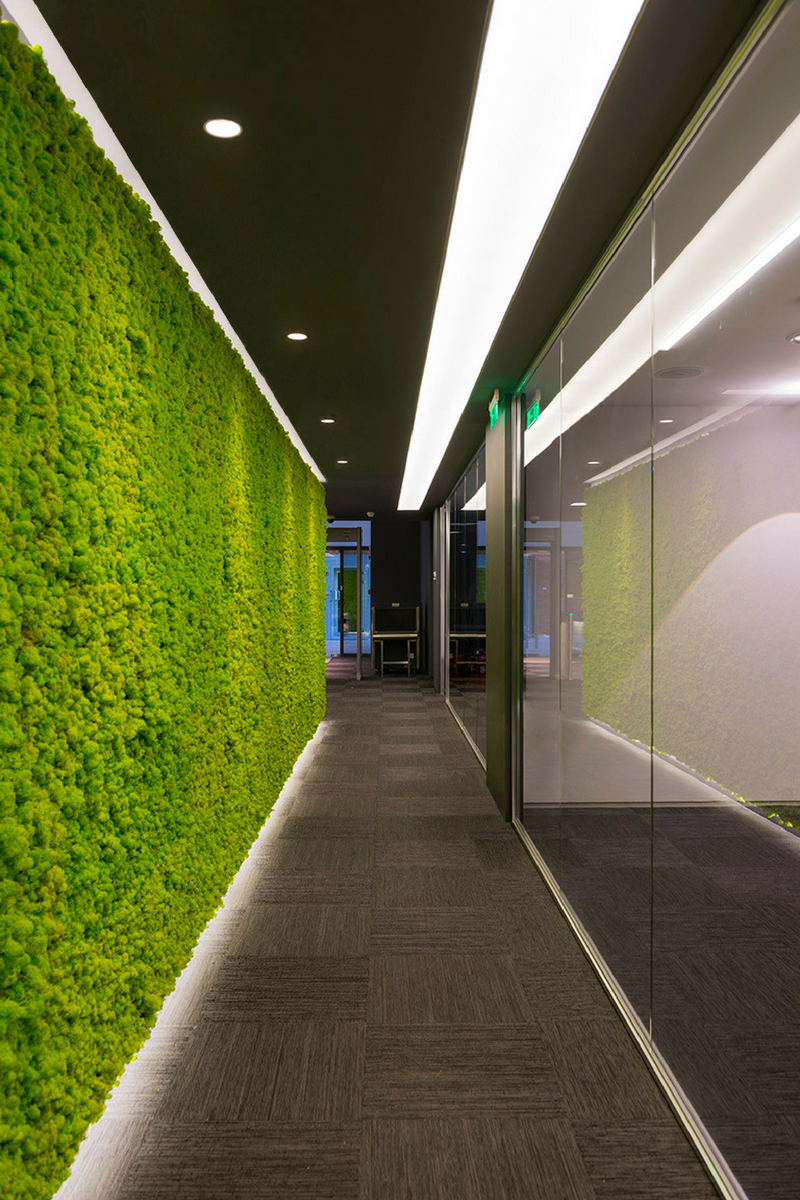 Pareti verdi verticali: come realizzarle all'interno degli uffici